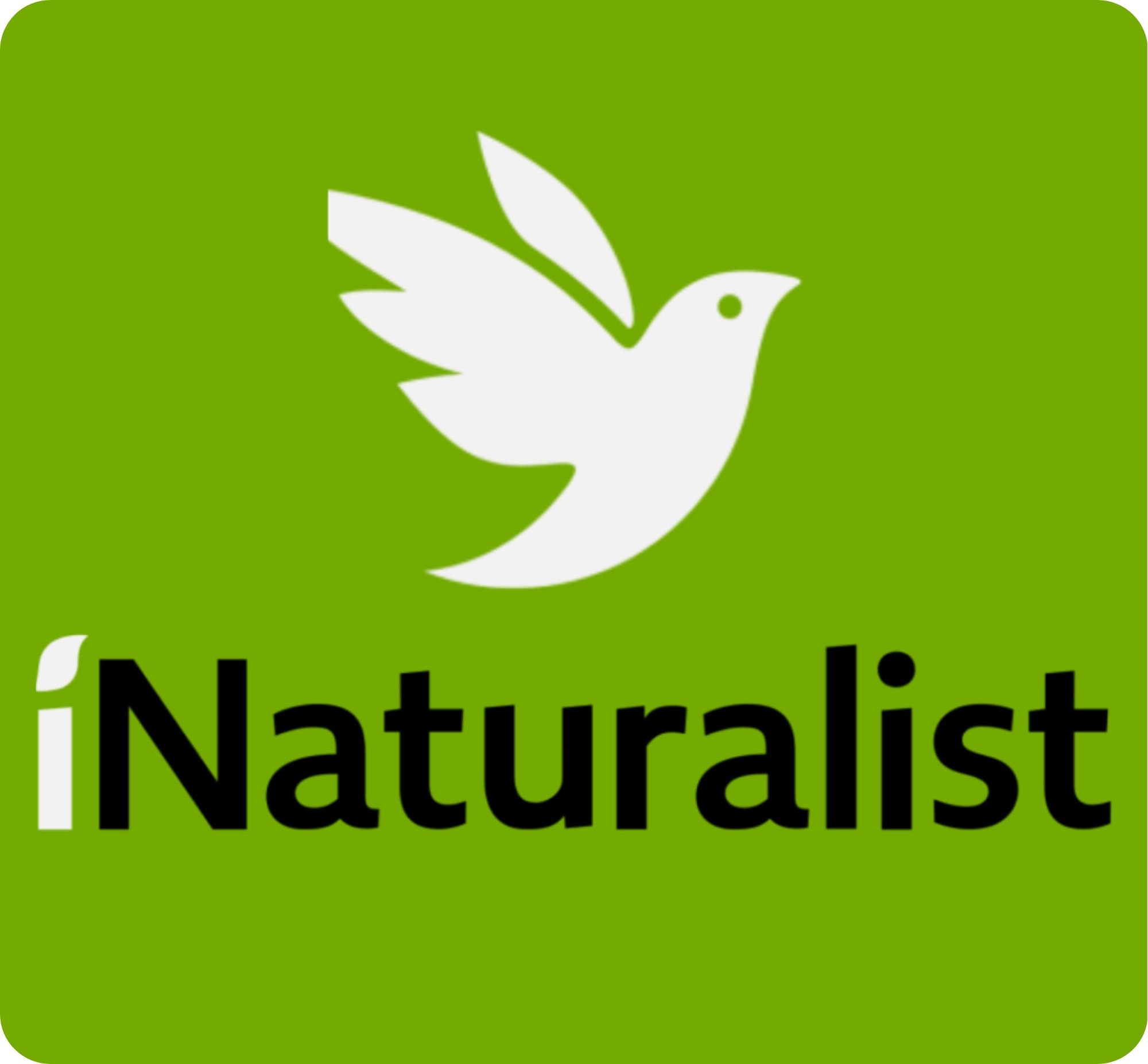 inaturalist