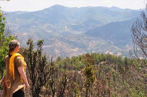 Sylvie paysage photo flippée300 Sylvie paysage photo flippée300