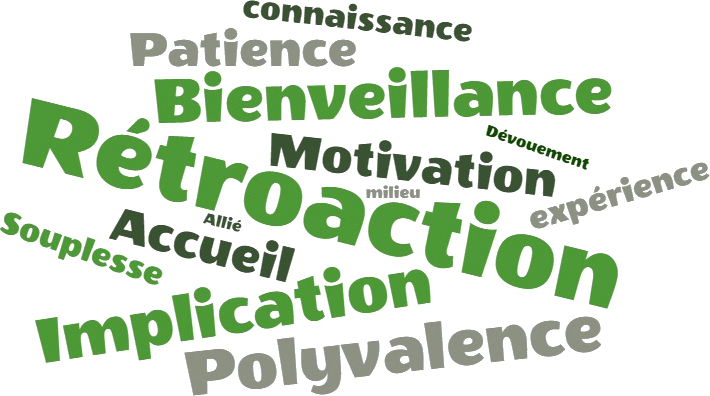 Nuage de mots ayant un lien avec le tutorat