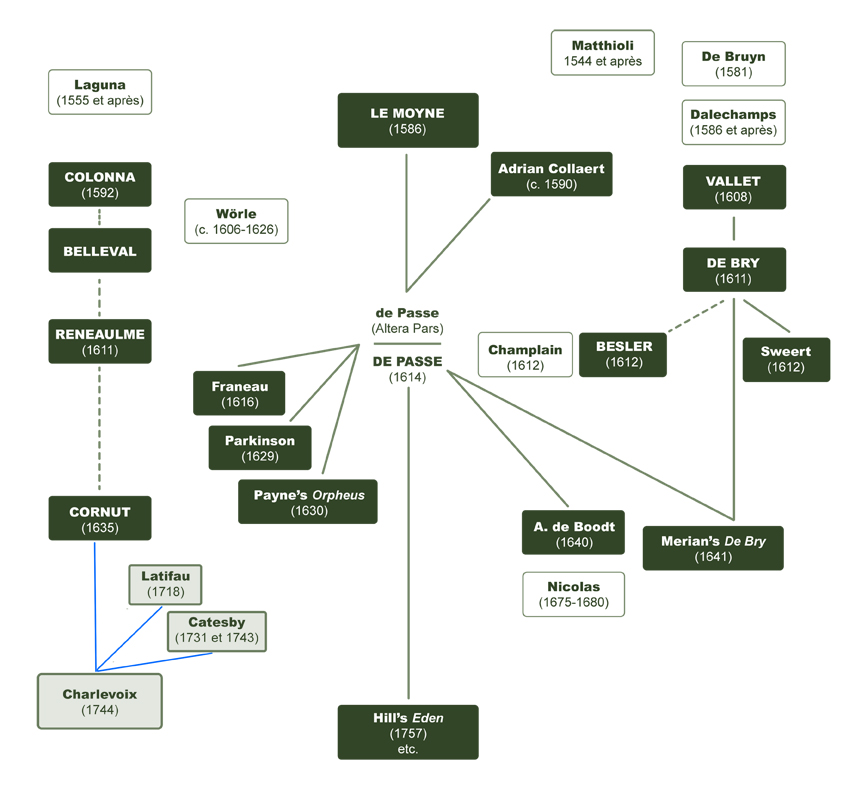 Tableau 17. Charlevoix--et-Blunt