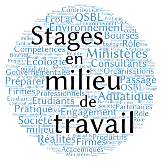 Stage_en_milieu_de_travail