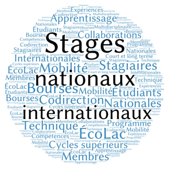 Stages_nationaux_internationaux