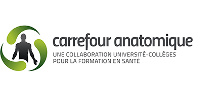 Carrefour anatomique