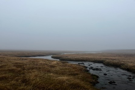 A lifeline in the landscape. A cold-water refuge, where trout cling to survival. Image2-SD