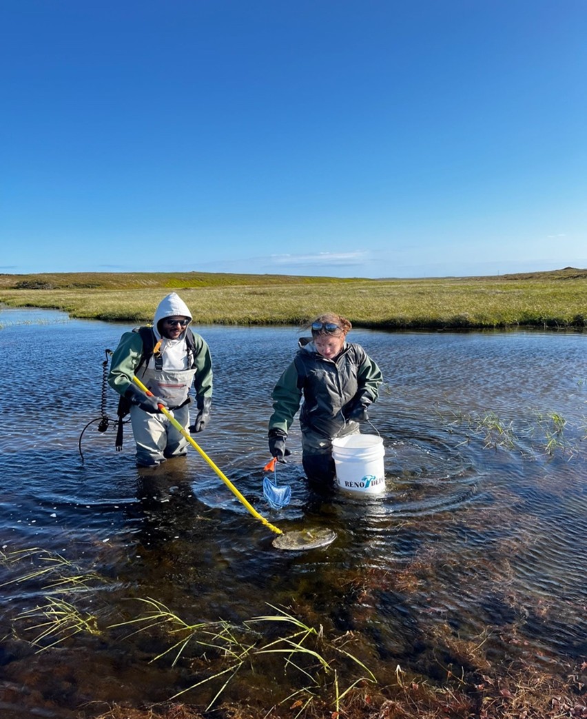 The science in the stream: revealing what the water holds Image3-SD