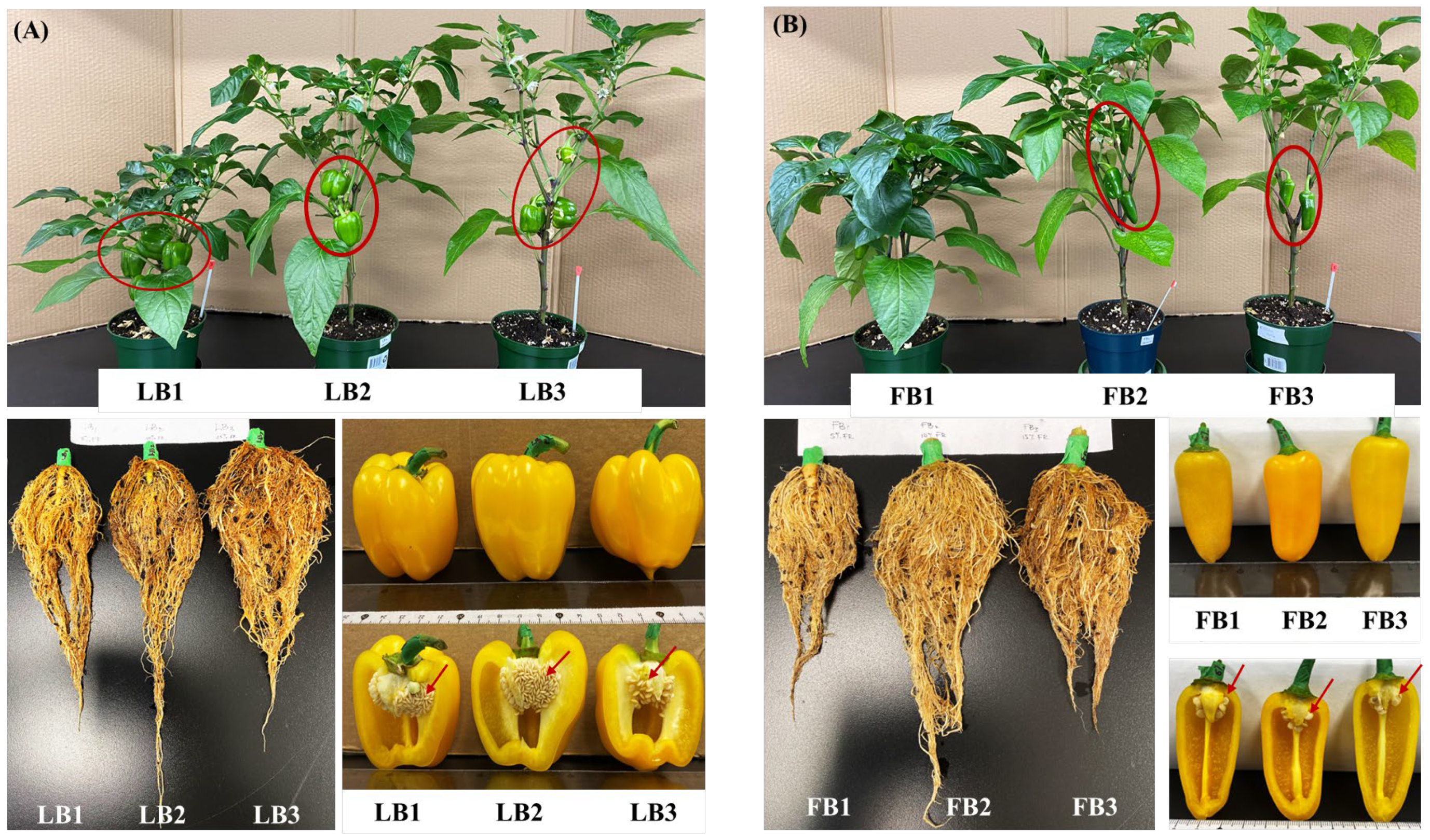 agronomy-15-00732-g004