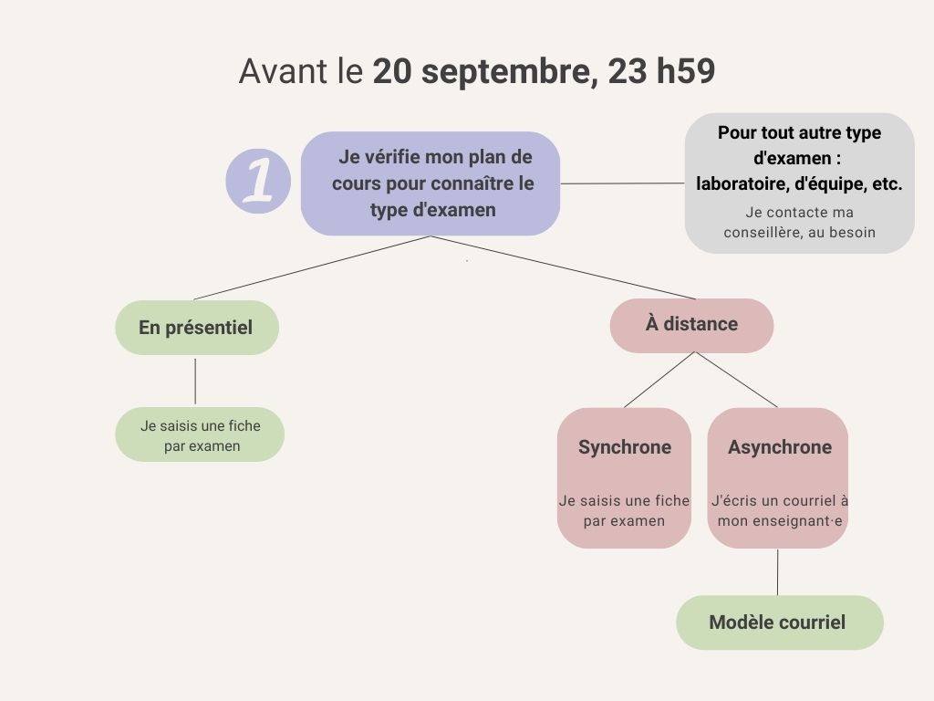 Carte conceptuelle examens