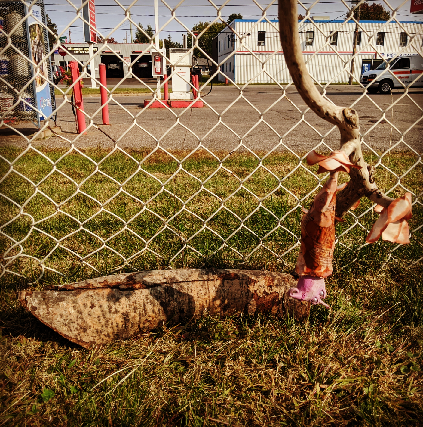 Screenshot_20200922-145933~2