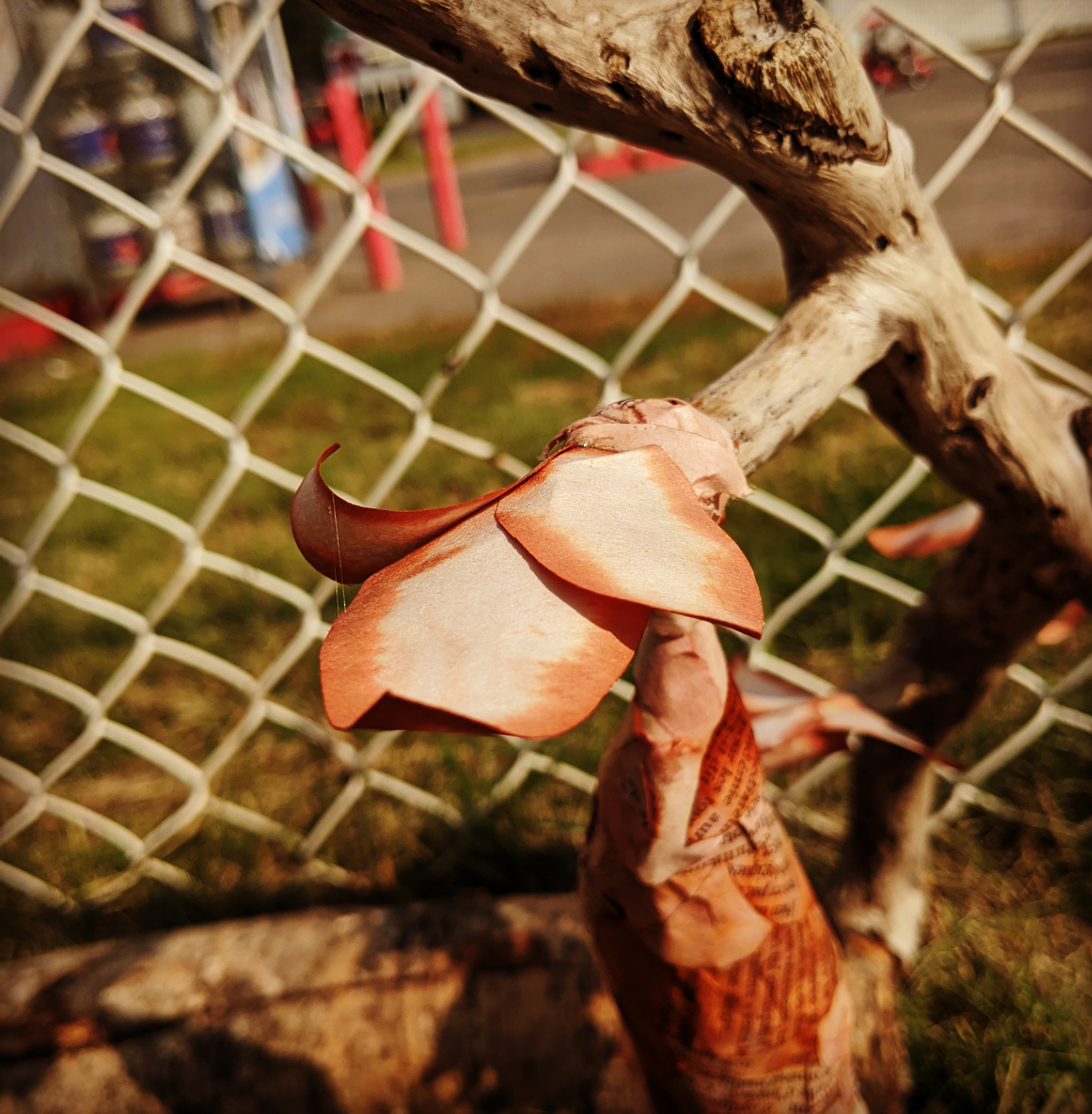 Screenshot_20200922-145944~2