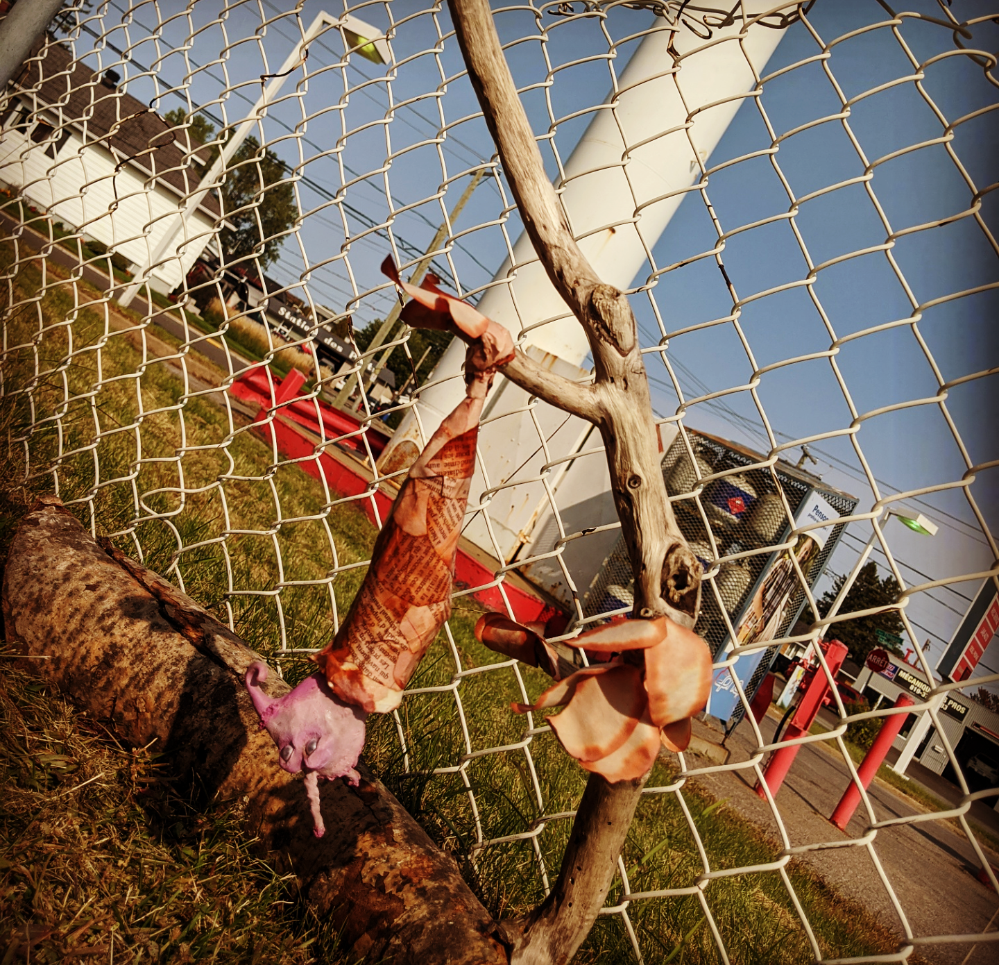 Screenshot_20200922-145952~2