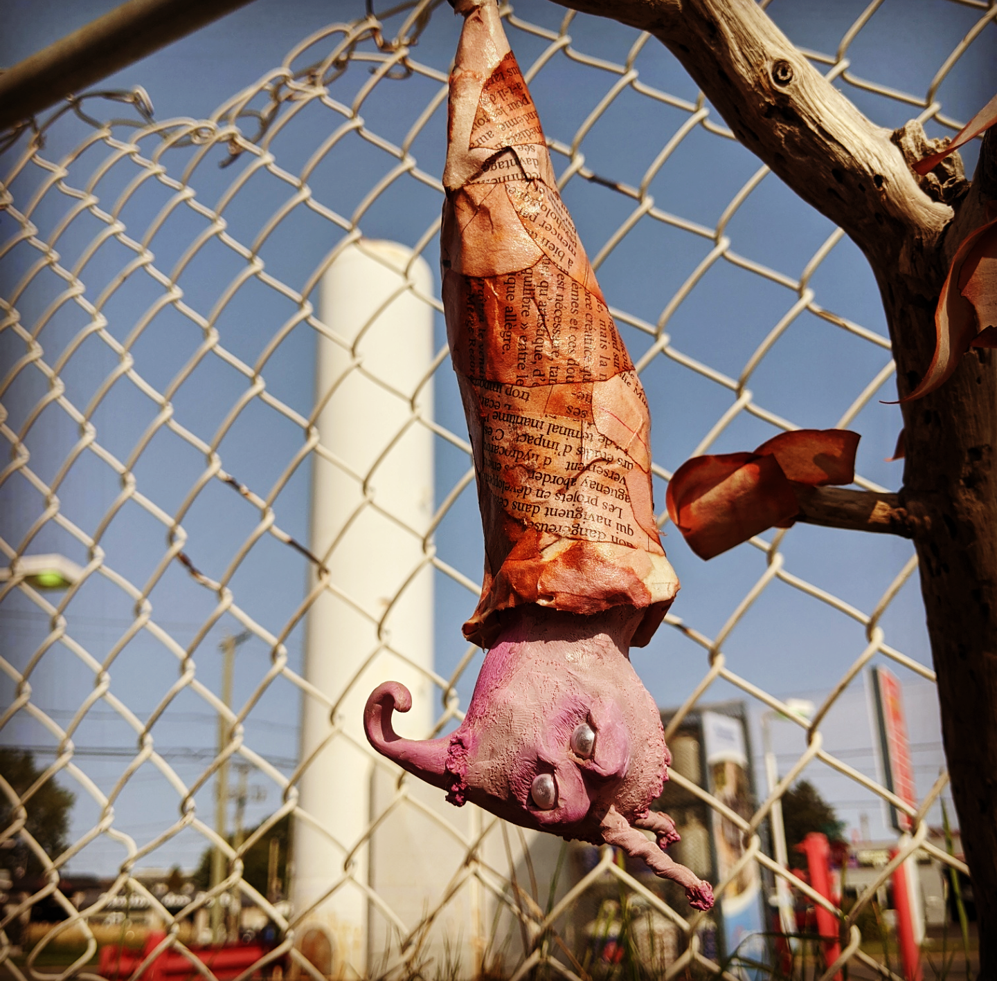 Screenshot_20200922-150001~2