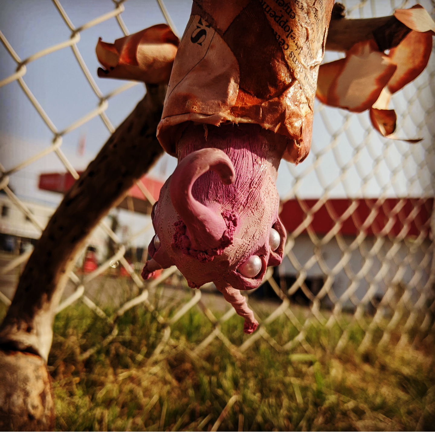 Screenshot_20200922-150032~2