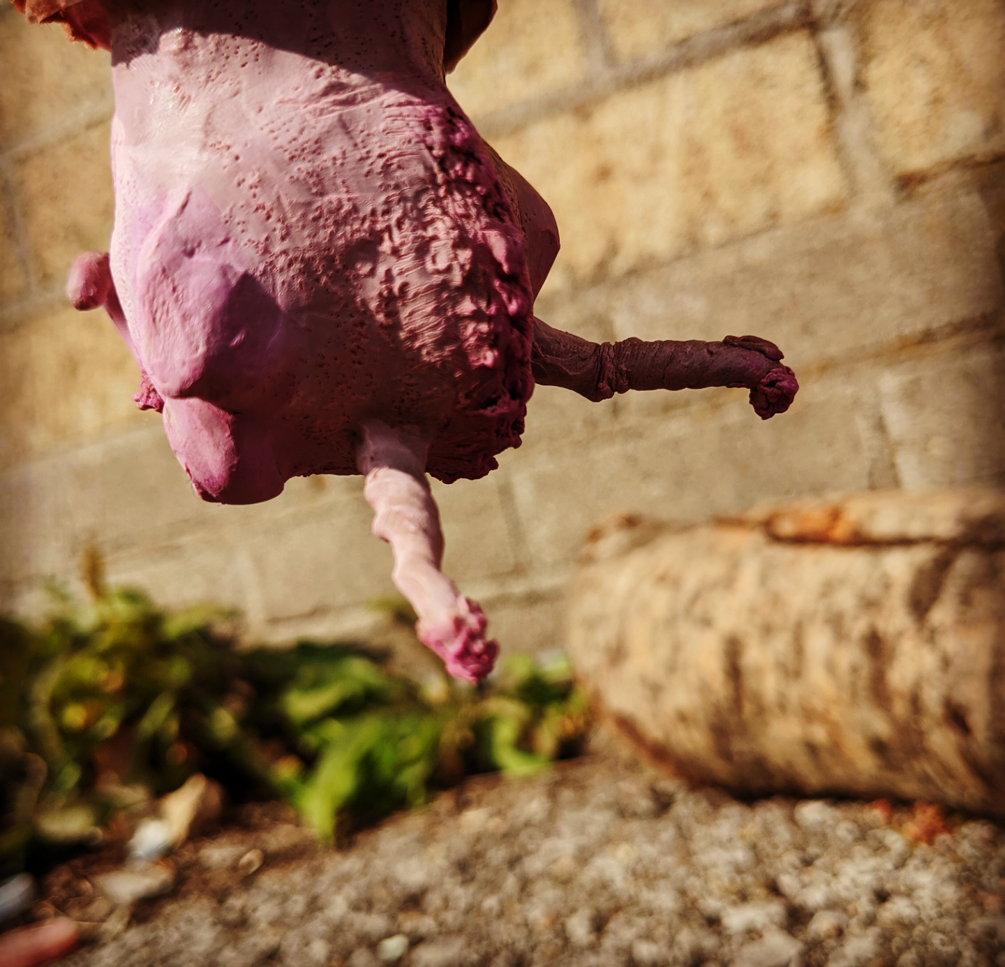 Screenshot_20200922-150039~2