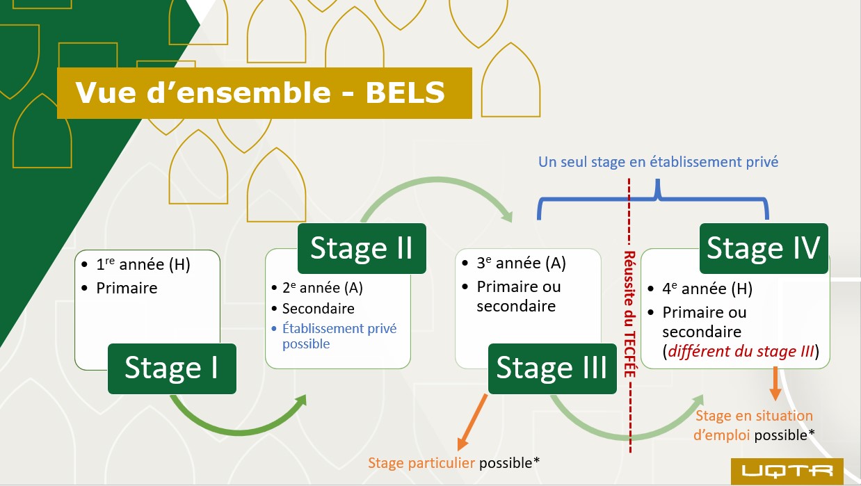 Vue d'ensemble BELS