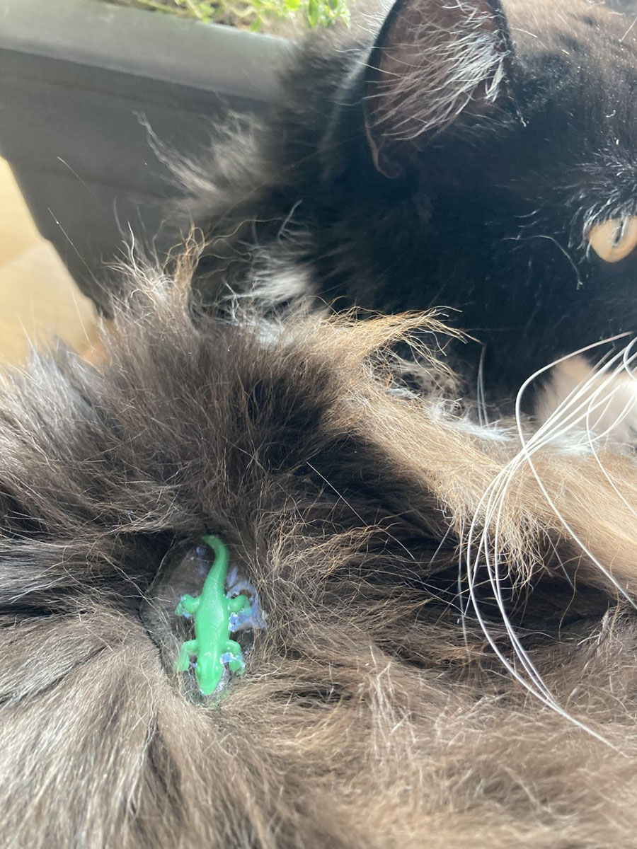 Projet 2. Photo photoshop ensemble 2