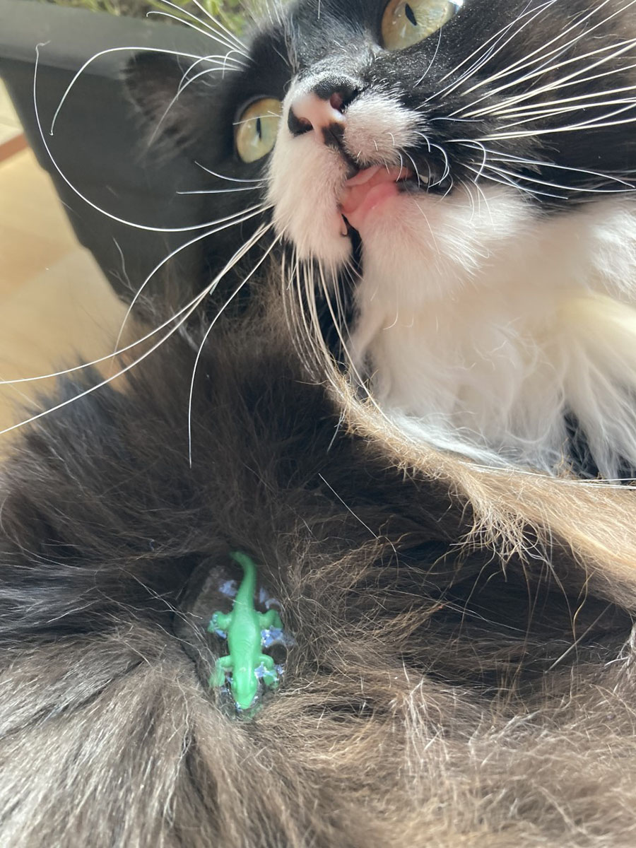 Projet 2. Photo photoshop ensemble 3