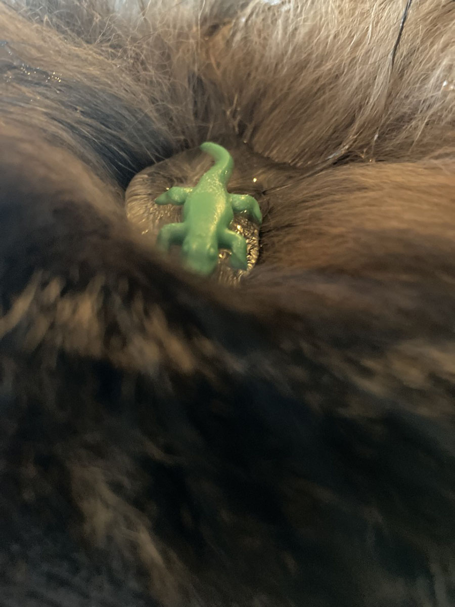 Projet 2. Photo photoshop miniature.3