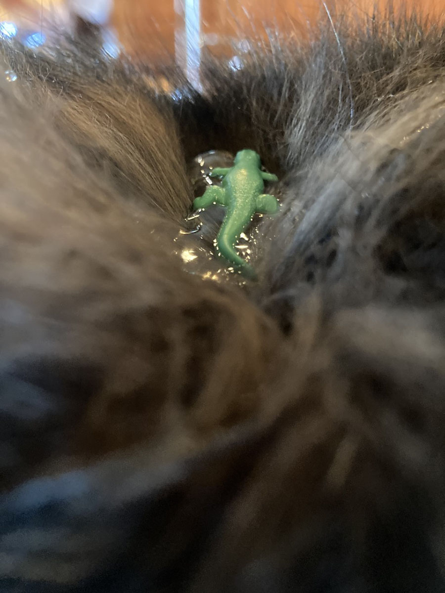 Projet 2. Photo photoshop miniature.2