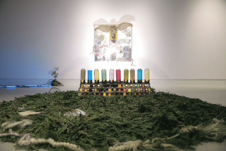 cercle cedre et lampion - petit