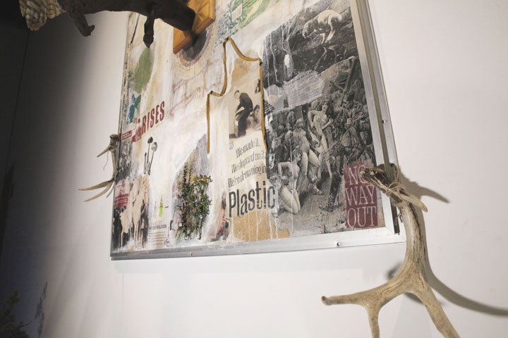 toile hibou close up - petit