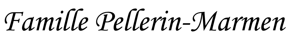 Logo Famille Pellerin-Marmen