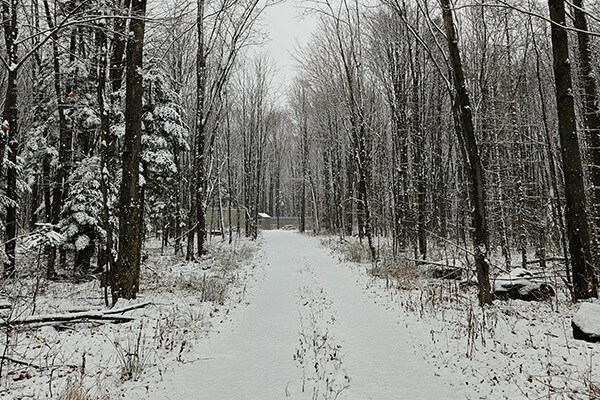 Sentier forestier enneigé menant au site de recherche REST[ES] en hiver.