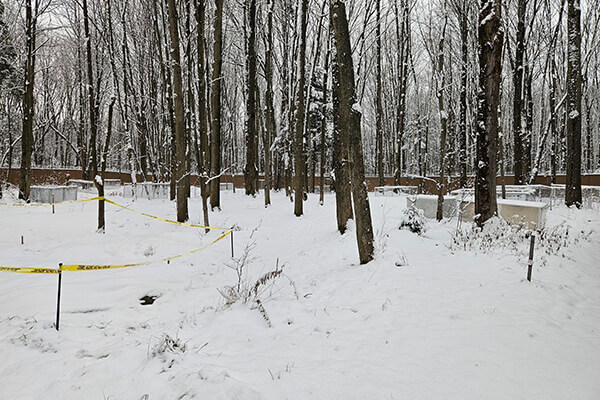 Site de recherche REST[ES] en forêt hivernale, avec zones d'étude délimitées.
