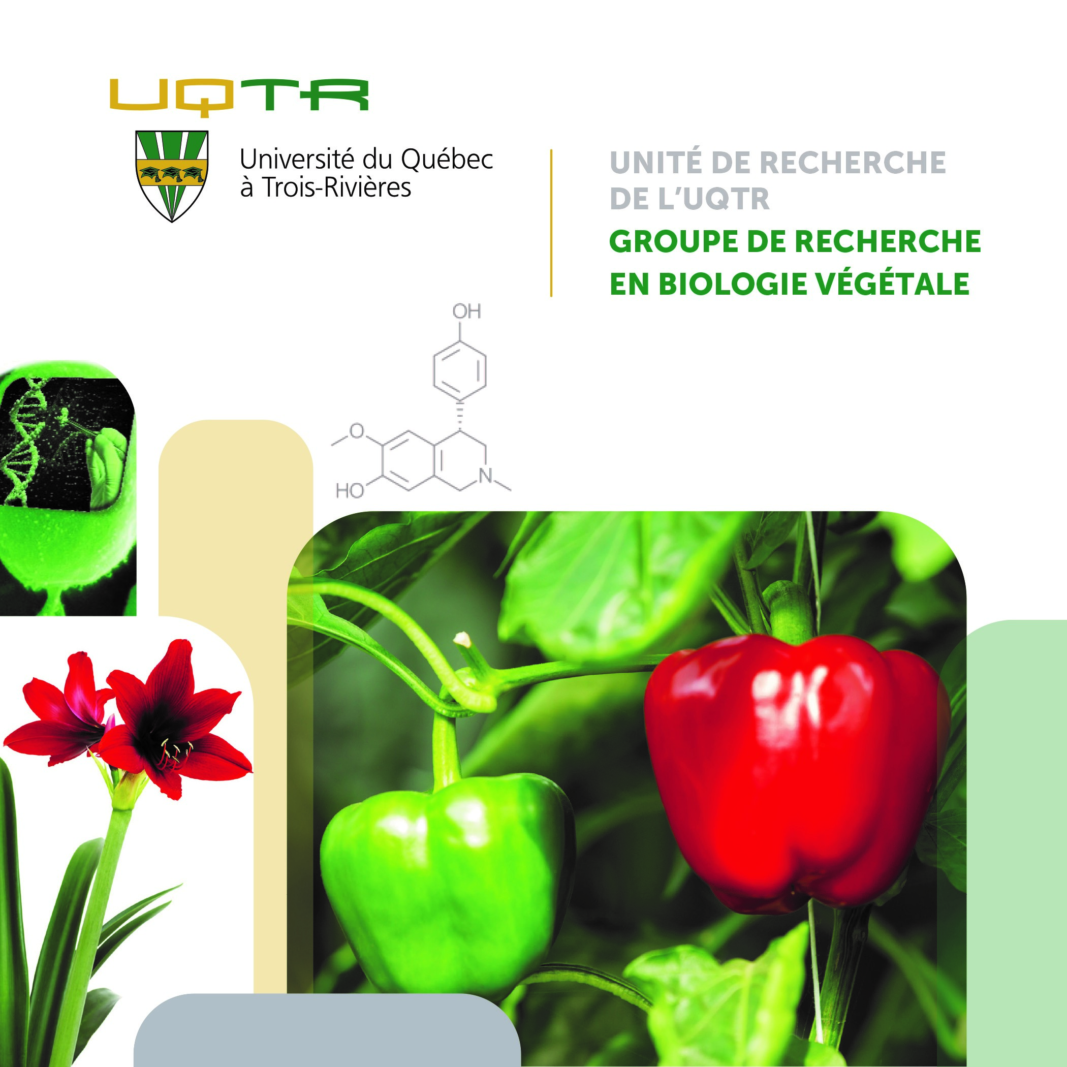 Couverture GRBV