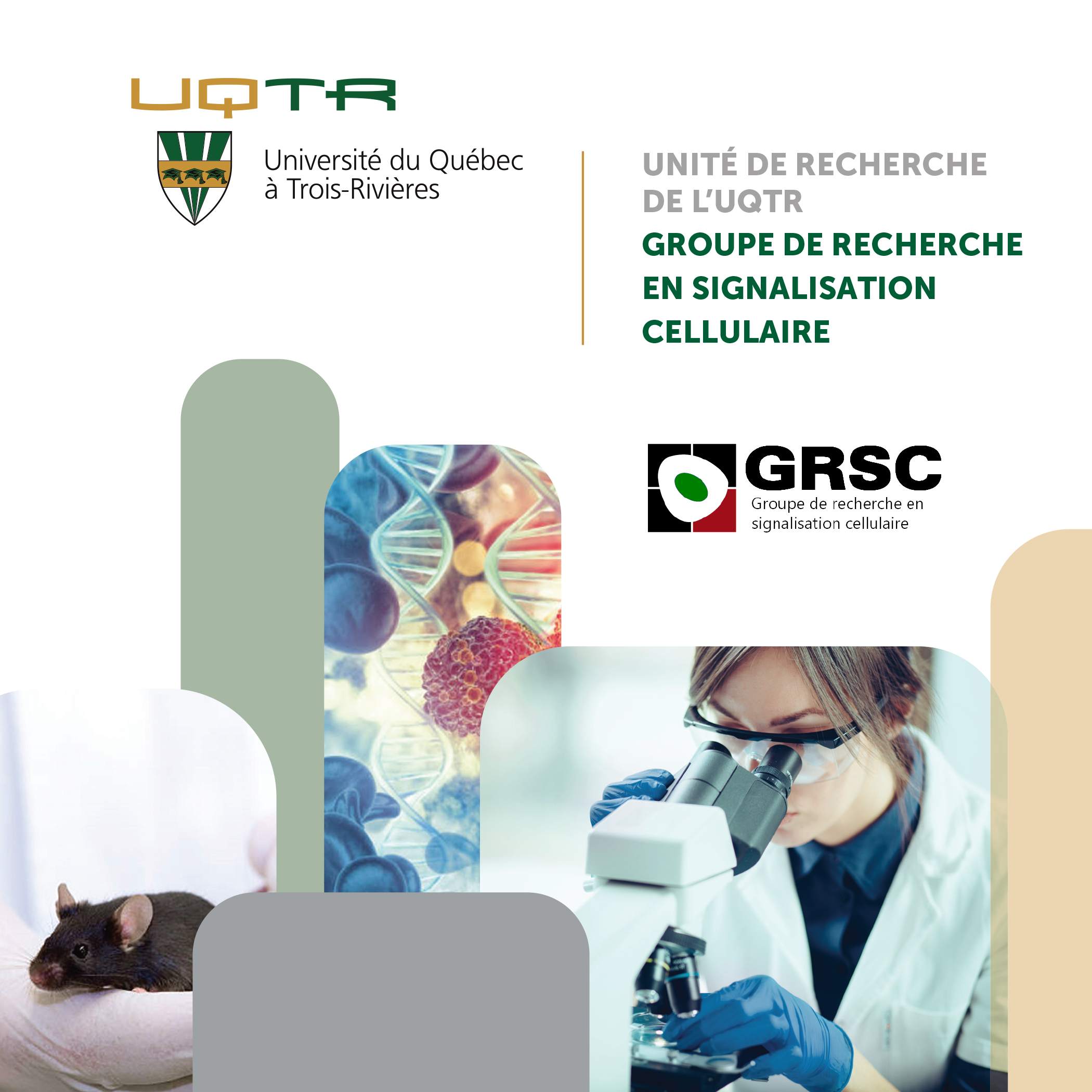 Couverture GRSC