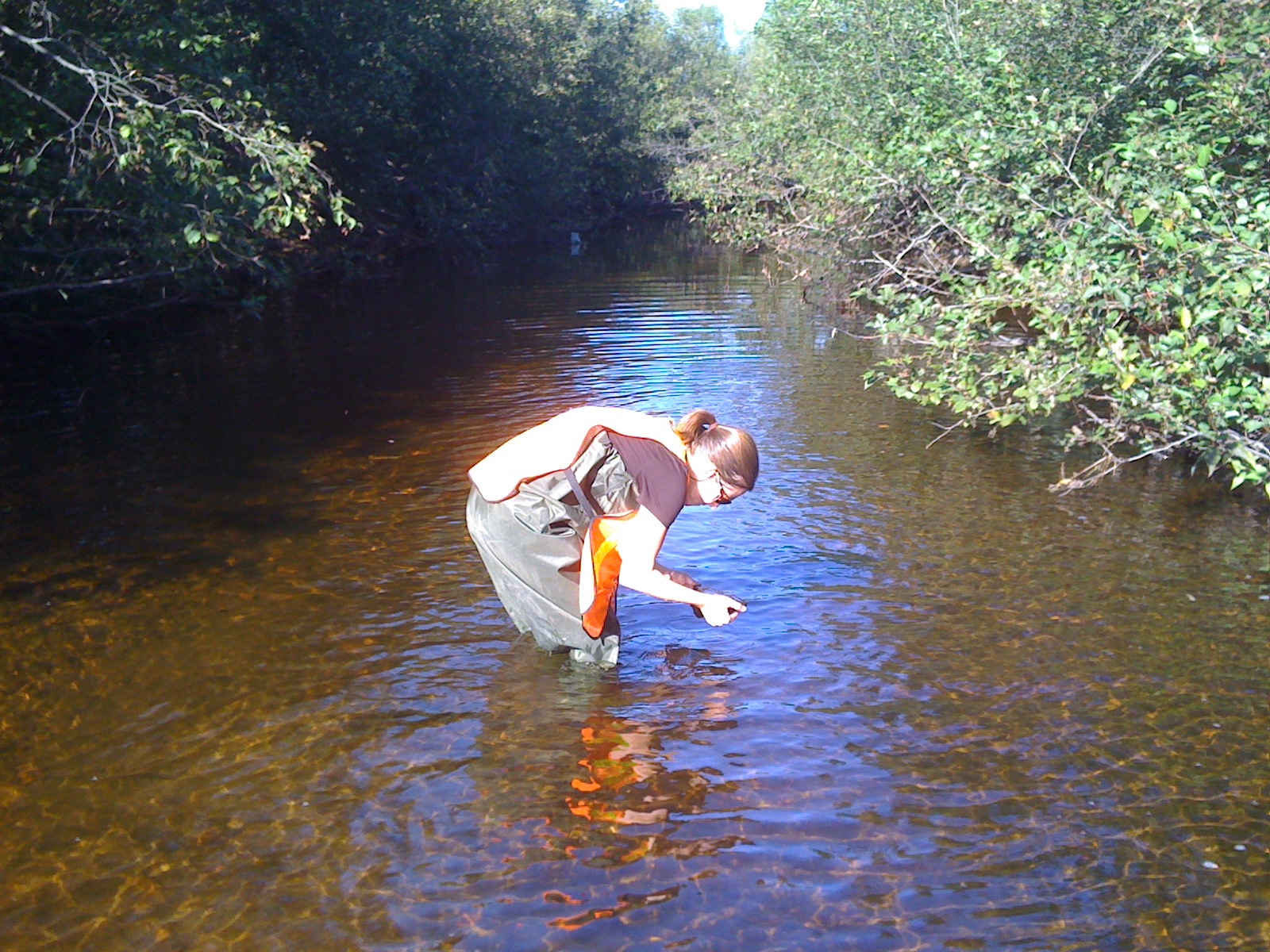sampling