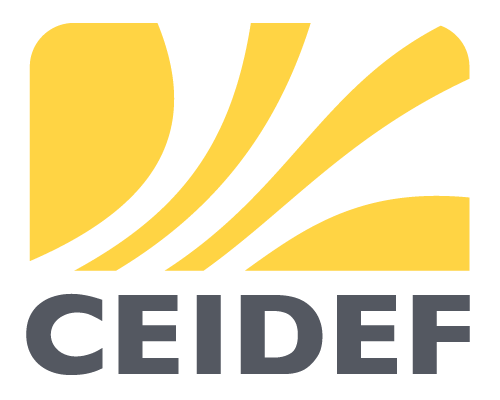 Logo-CEIDEF_compact_couleur_fond transparent
