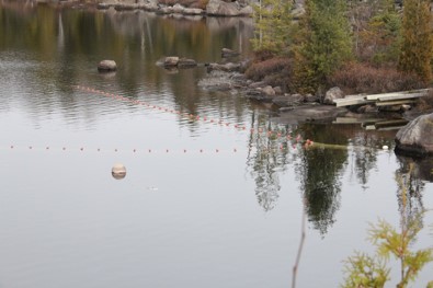 Image13