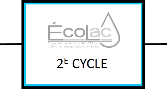 2e cycle