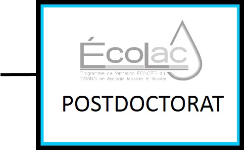 Postdoc