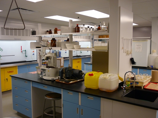 labo1030pbphotopaillasse