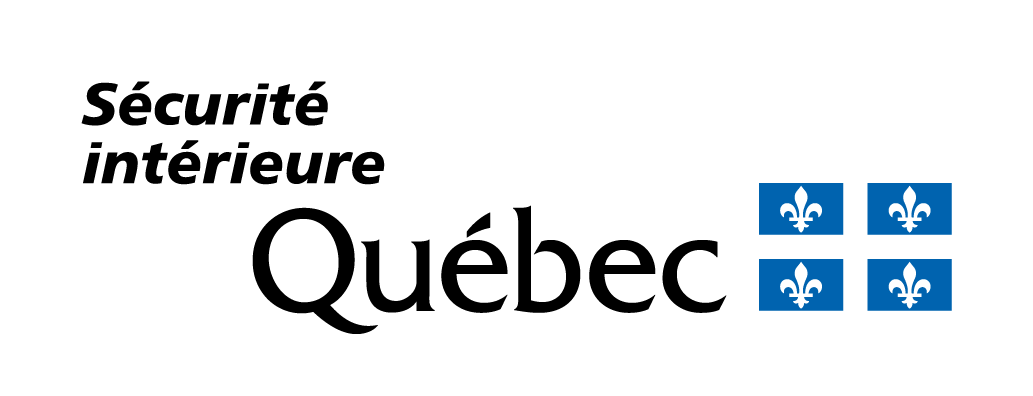 LogoMSI