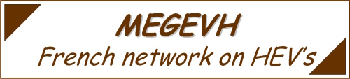 Logo_megevh