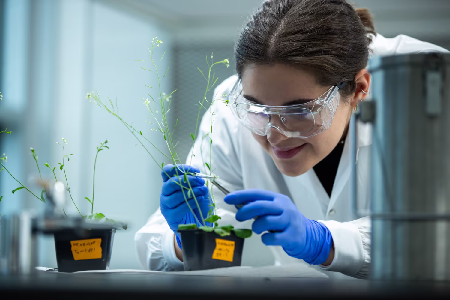 Chaires de recherche UQTR Émergence