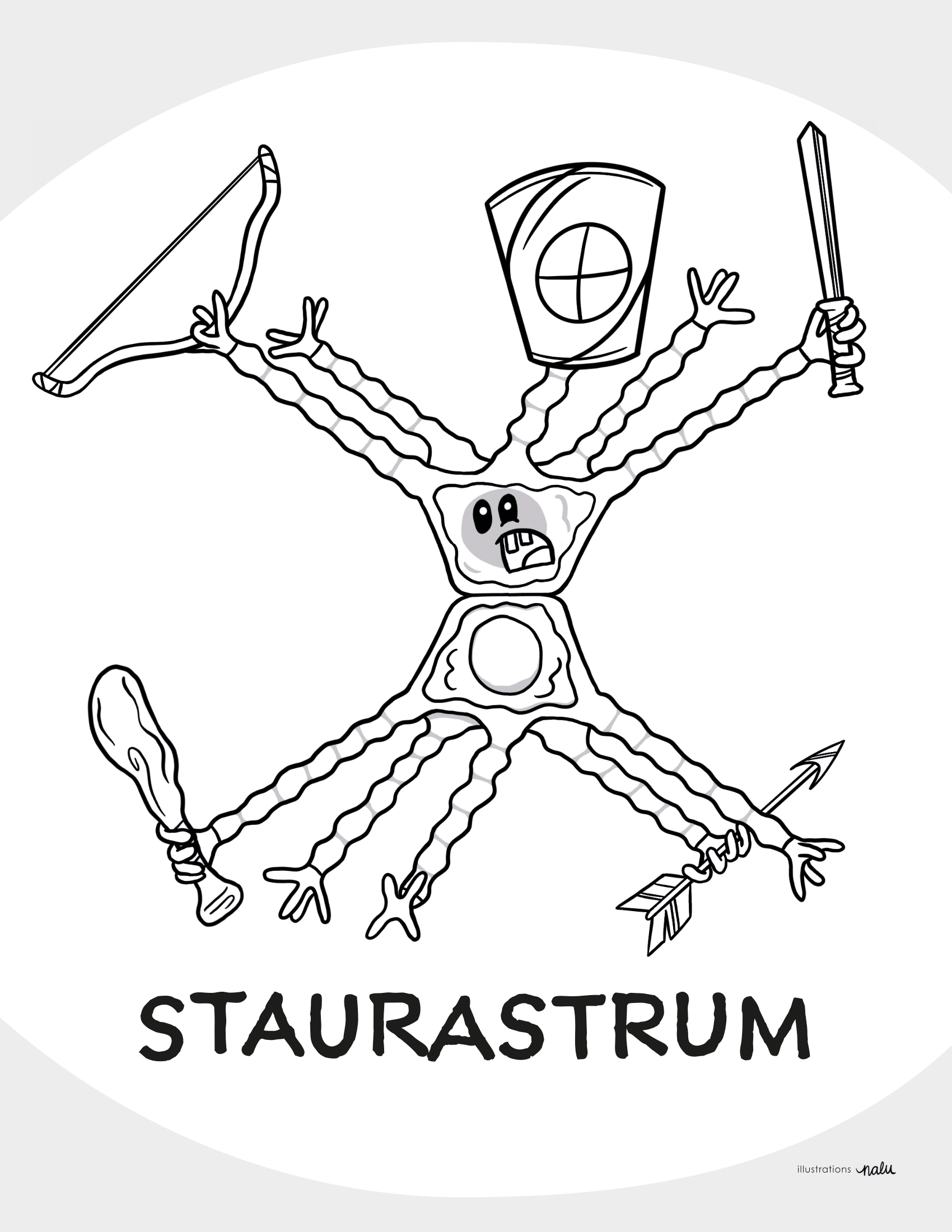 08_staurastrum