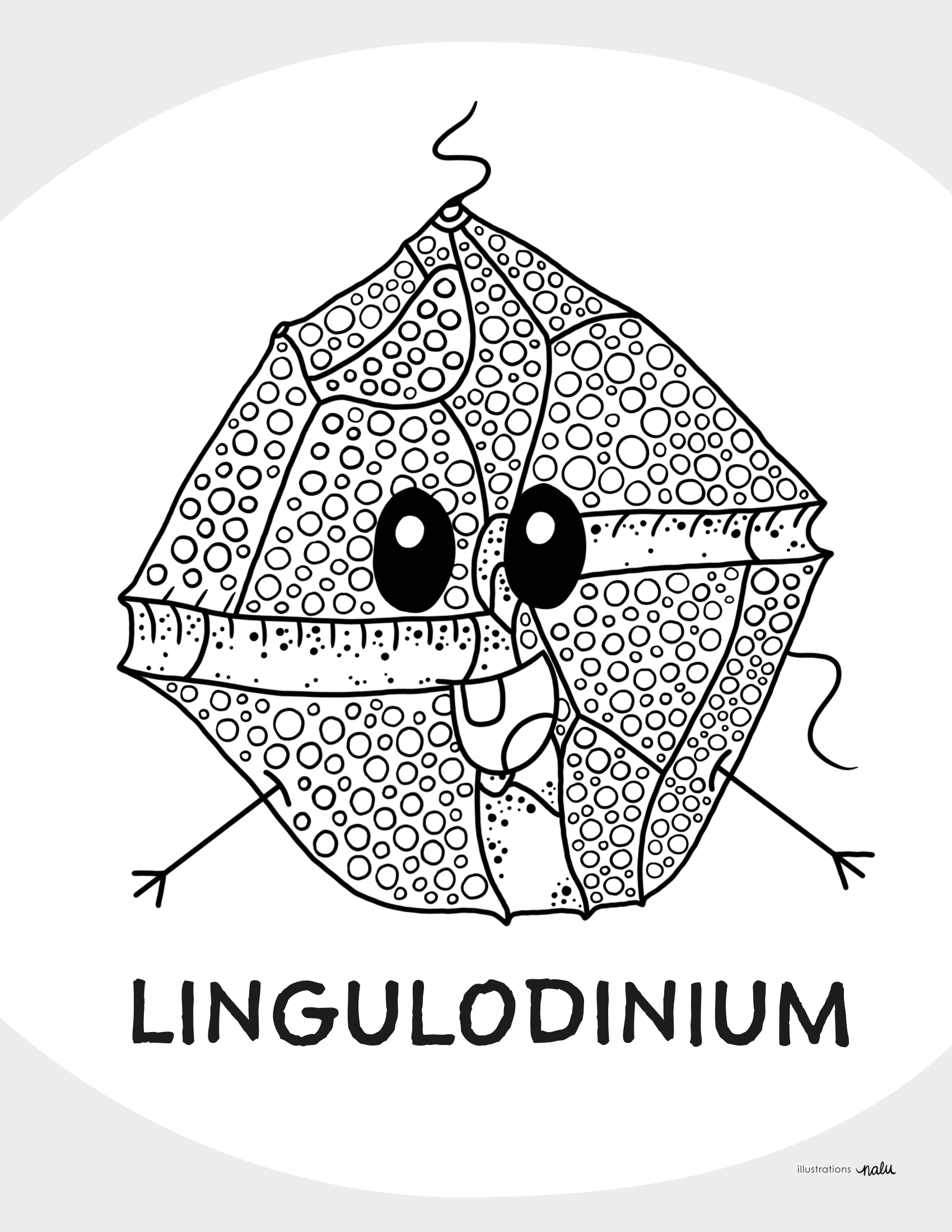 01_lingulodinium