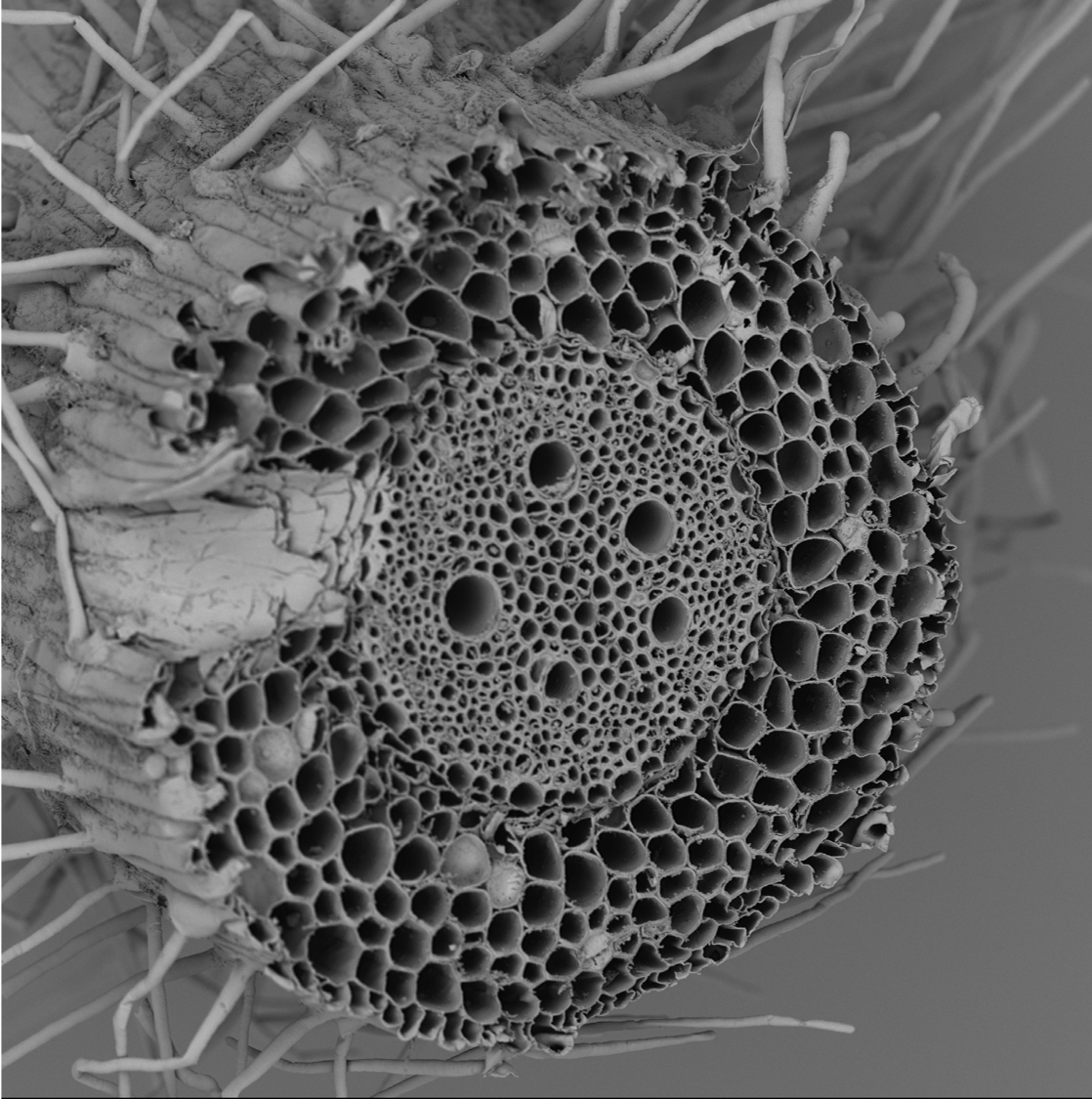 Image site web perso