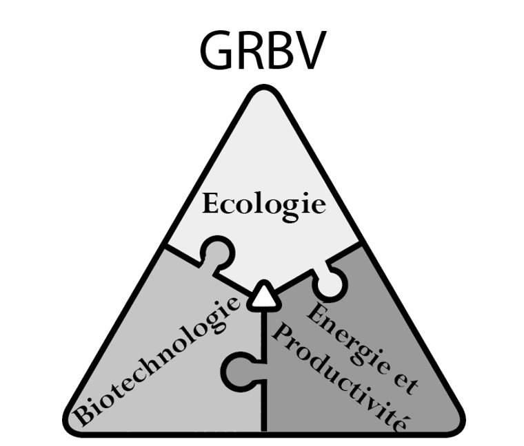 GRBV - Ecologie - Biotechnologie - Energie et productivité