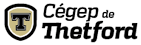 Cégep de Thetford